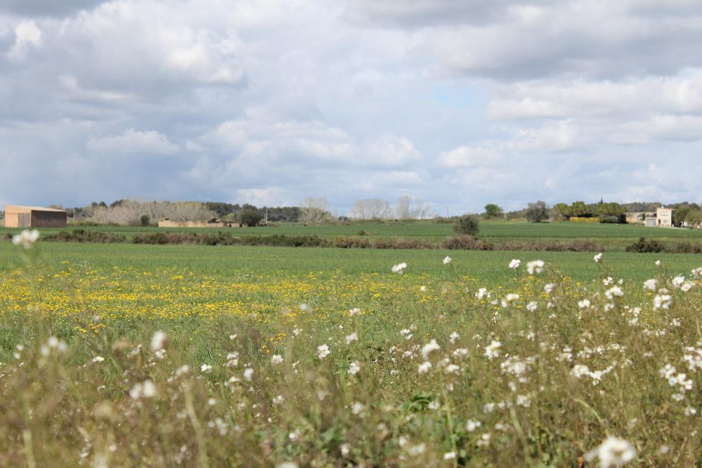 L'Essencia De L'Emporda -Girona- Apartment Verges Екстериор снимка
